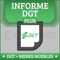 Registro de Bienes Muebles + Informe DGT Matrícula