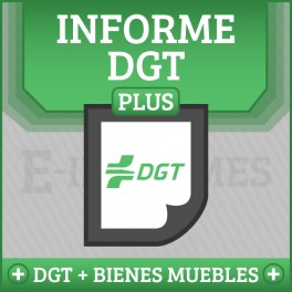 Informe de Vehiculo-Matrícula DGT Online+Registro de Bienes Muebles